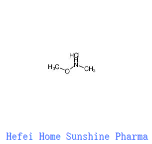 N,O-Dytyelhydroxyloylian Hydrochloroid CAS 6638-79-5