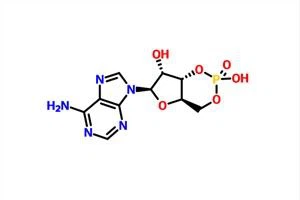 Adenosine 3',5'-cyclic Monophosphate (CAMP) CAS 60-92-4