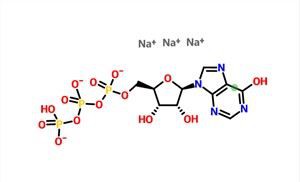 Inosine-5'-triphosphate Trisodium Salt（ITP-Na2） CAS 35908-31-7